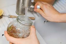 Plongez les graines dans du vinaigre : faites cela et vous verrez quelle différence !