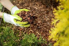 Potager : le paillage est indispensable en hiver. Faites-le sans dépenser 1 euro !