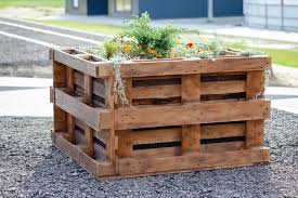 Potager surélevé avec palettes de bois : comment le créer Pas à pas !
