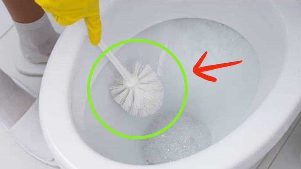 Brosse de toilette, c’est l’objet le plus sale de la maison : voici comment la nettoyer et la désinfecter