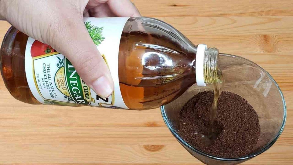 Mélangez du café et du vinaigre, c’est pourquoi des millions de femmes au foyer italiennes le font