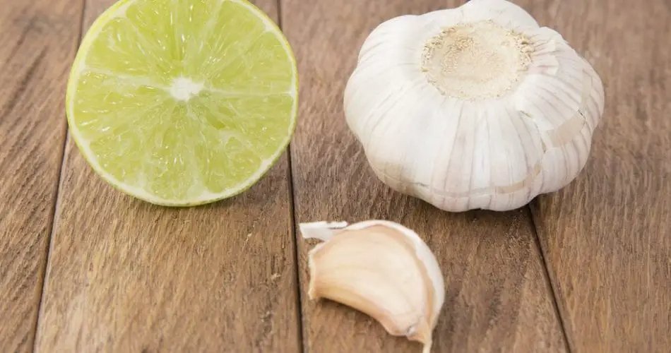 Ail, oignon et persil