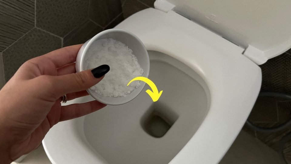 Toilette fraîche et très parfumée, le remède naturel le plus puissant qui soit