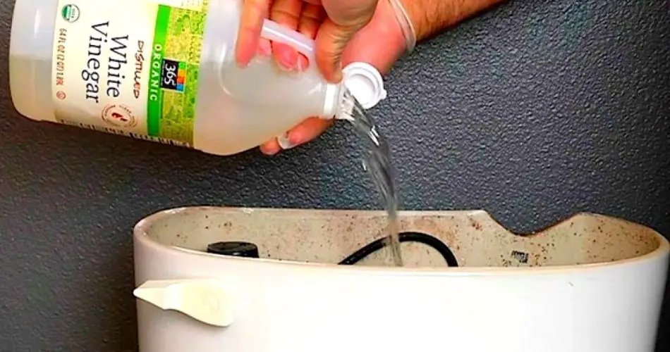 Le vinaigre dans la salle de bain résout un problème très désagréable : beaucoup de gens le font.