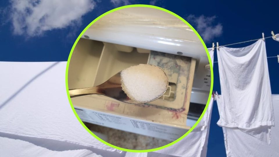 Linge très blanc et immaculé sans javel : cela blanchit davantage