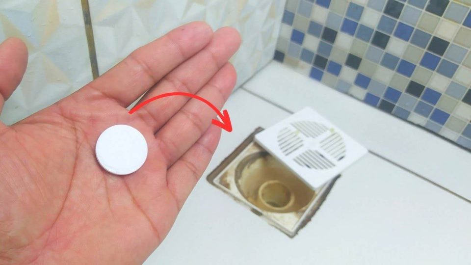 Placez-le dans votre salle de bain et laissez-vous surprendre : vous pourrez dire adieu aux mauvaises odeurs