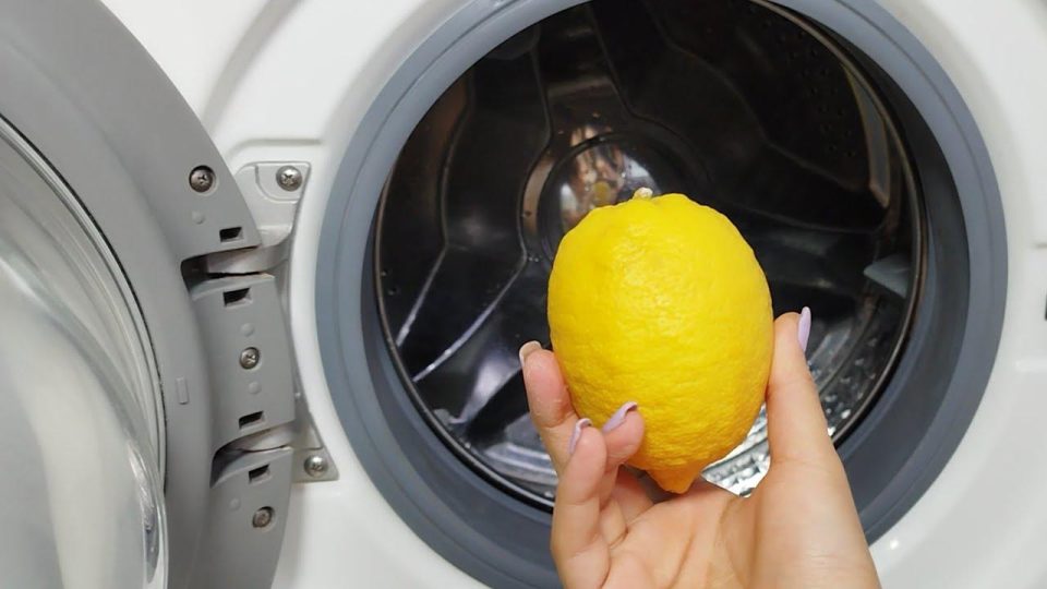 Même les vieilles blanchisseries gardent ce secret : elles n’ont jamais eu de vêtements comme celui-ci