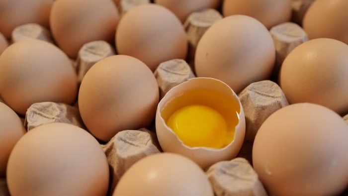 Avec cette méthode, les œufs peuvent être conservés pendant un an.