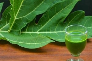 Les avantages remarquables du jus de feuille de papaye pour la santé